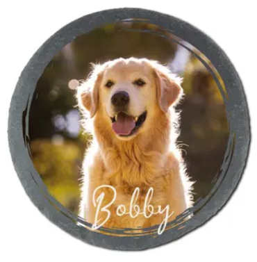 hundefoto auf schieferschild