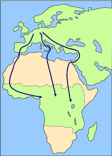 weltvogelzug Landkarte