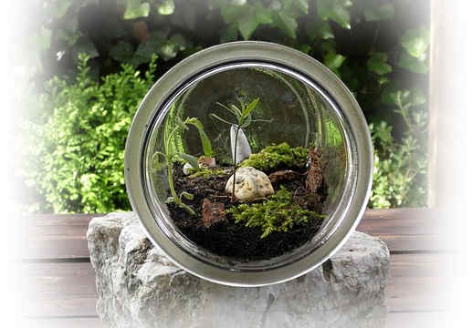 3. November: Internationale Tag der UNESCO-Biosph&auml;renreservate